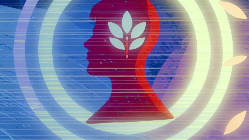 Aukštesniųjų jausmų prigimtis, reikšmė ir ugdymo galimybės