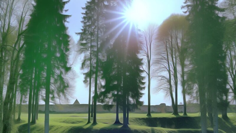 Istoriniai sodai ir želdynai Lietuvoje: kultūra, gamta ir apsauga